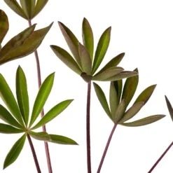 Lupine (Lupinus 'My Castle') D 11 H 20 Cm 6 Lupine (Lupinus 'My Castle') D 11 H 20 Cm -Tuin Planten Winkel 8712815644240 2