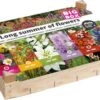 Big Box Long Summer Of Flowers 25 X 30 X 15 Cm 1 Big Box Long Summer Of Flowers 25 X 30 X 15 Cm -Tuin Planten Winkel 8713339117319