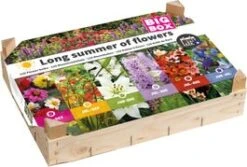 Big Box Long Summer Of Flowers 25 X 30 X 15 Cm