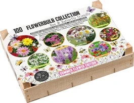 Florex Big Box Biodiversiteit 100 Stuks 3 Florex Big Box Biodiversiteit 100 Stuks