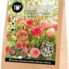 Florex Bloembollen 1M² Bloementapijt Bohemian Summer 25 Stuks 1 Florex Bloembollen 1M² Bloementapijt Bohemian Summer 25 Stuks -Tuin Planten Winkel 8713339139823