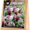 Florex Bloembollen 1M² Bloementapijt Fantasy Flavours 25 Stuks -Tuin Planten Winkel 8713339139830