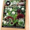 Florex Bloembollen 1M² Bloementapijt Persian Nights 25 Stuks -Tuin Planten Winkel 8713339139861