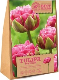 Florex Bloembollen Tulp (Tulipa 'Aveyron') 12 Stuks