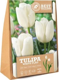 Florex Bloembollen Tulp (Tulipa 'White Flag') 15 Stuks