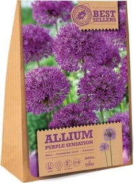 Florex Bloembollen Sierui (Allium 'Purple Sensation') 15 Stuks