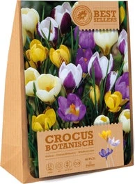 Florex Bloembollen Krokus (Crocus) Botanische Mix 40 Stuks
