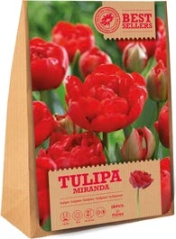 Florex Bloembollen Tulp (Tulipa 'Miranda') 15 Stuks