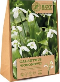 Florex Bloembollen Sneeuwklokje (Galanthus Woronowii) 20 Stuks 3 Florex Bloembollen Sneeuwklokje (Galanthus Woronowii) 20 Stuks