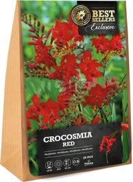 Florex Bloembol Montbretia (Crocosmia 'Lucifer') 20 Stuks