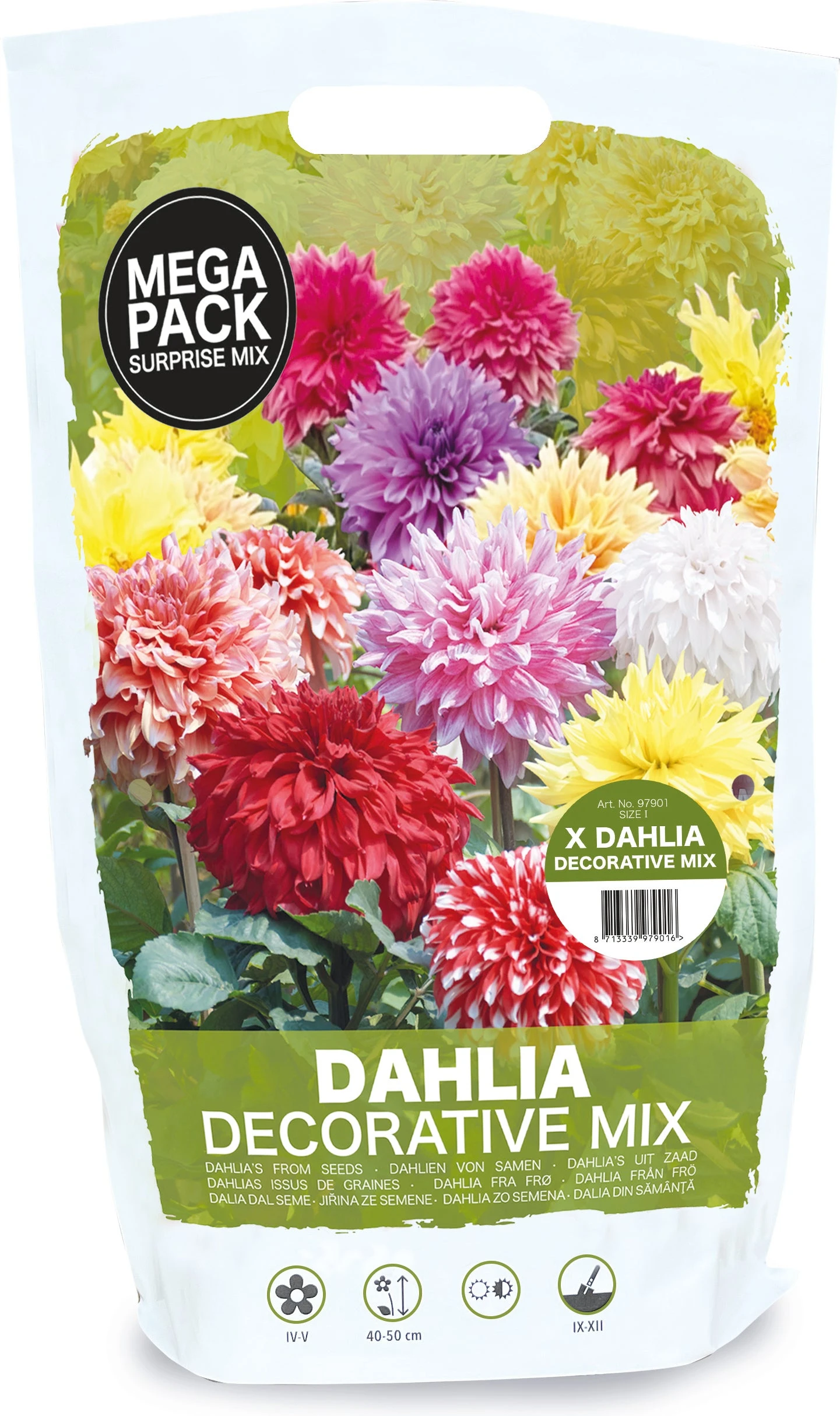 Florex Bloembollen Zaaddahlia Decorative Verassingsmix 8 St 3 Florex Bloembollen Zaaddahlia Decorative Verassingsmix 8 St