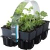 Vrouwenmantel (Alchemilla Mollis) Sixpack D 9 H 15 Cm -Tuin Planten Winkel 8717263013723 3