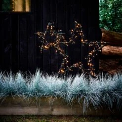 Blauwgras (Festuca Glauca 'Intense Blue') D 17 H 35 Cm -Tuin Planten Winkel 8717263084488 1