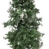 Klimmende Nachtschade Piramide (Solanum Jasminoides) D 19 H 70 Cm -Tuin Planten Winkel 8717263092575 1