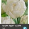 Intratuin Bloembollen Tulp (Tulipa 'Mount Tacoma') 10 Stuks 1 Intratuin Bloembollen Tulp (Tulipa 'Mount Tacoma') 10 Stuks -Tuin Planten Winkel 8717263341192 1 1