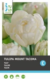 Intratuin Bloembollen Tulp (Tulipa 'Mount Tacoma') 10 Stuks
