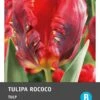 Intratuin Bloembollen Tulp (Tulipa 'Rococo') 10 Stuks 1 Intratuin Bloembollen Tulp (Tulipa 'Rococo') 10 Stuks -Tuin Planten Winkel 8717263341277 2 1