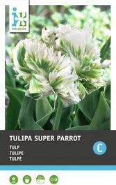 Intratuin Bloembollen Tulp (Tulipa 'Super Parrot') 10 Stuks