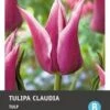 Intratuin Bloembollen Tulp (Tulipa 'Claudia') 10 Stuks -Tuin Planten Winkel 8717263341314 1 1