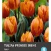 Intratuin Bloembollen Tulp (Tulipa 'Prinses Irene') 10 Stuks -Tuin Planten Winkel 8717263341437 1 1