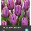 Intratuin Bloembollen Tulp (Tulipa 'Blue Beauty') 10 Stuks -Tuin Planten Winkel 8717263341505 1 1