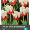 Intratuin Bloembollen Tulp (Tulipa 'World Expression') 10 Stuks 2 Intratuin Bloembollen Tulp (Tulipa 'World Expression') 10 Stuks -Tuin Planten Winkel 8717263341543 1 1