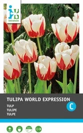 Intratuin Bloembollen Tulp (Tulipa 'World Expression') 10 Stuks