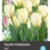 Intratuin Bloembollen Tulp (Tulipa 'Purissima') 10 Stuks 2 Intratuin Bloembollen Tulp (Tulipa 'Purissima') 10 Stuks -Tuin Planten Winkel 8717263341598 1