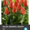 Intratuin Bloembollen Tulp (Tulipa 'Oriental Beauty') 10 Stuks 2 Intratuin Bloembollen Tulp (Tulipa 'Oriental Beauty') 10 Stuks -Tuin Planten Winkel 8717263341604