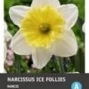 Intratuin Bloembollen Narcis (Narcissus 'Ice Follies') 5 Stuks -Tuin Planten Winkel 8717263341840 1 1