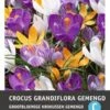 Intratuin Bloembollen Krokus (Crocus Grandiflora) Gemengd 15 Stuks 1 Intratuin Bloembollen Krokus (Crocus Grandiflora) Gemengd 15 Stuks -Tuin Planten Winkel 8717263341963 1 1