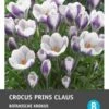 Intratuin Bloembollen Krokus (Crocus 'Prins Claus') 25 Stuks -Tuin Planten Winkel 8717263341987 1 1