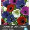 Intratuin Bloemknollen Anemoon (Anemone 'De Caen') Gemengd 25 Stuks 1 Intratuin Bloemknollen Anemoon (Anemone 'De Caen') Gemengd 25 Stuks -Tuin Planten Winkel 8717263342199 1 1