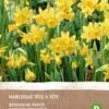 Intratuin Biologische Bloembollen Narcis (Narcissus 'Tète á Â Tète') 5 Stuks -Tuin Planten Winkel 8717263342496 1 1