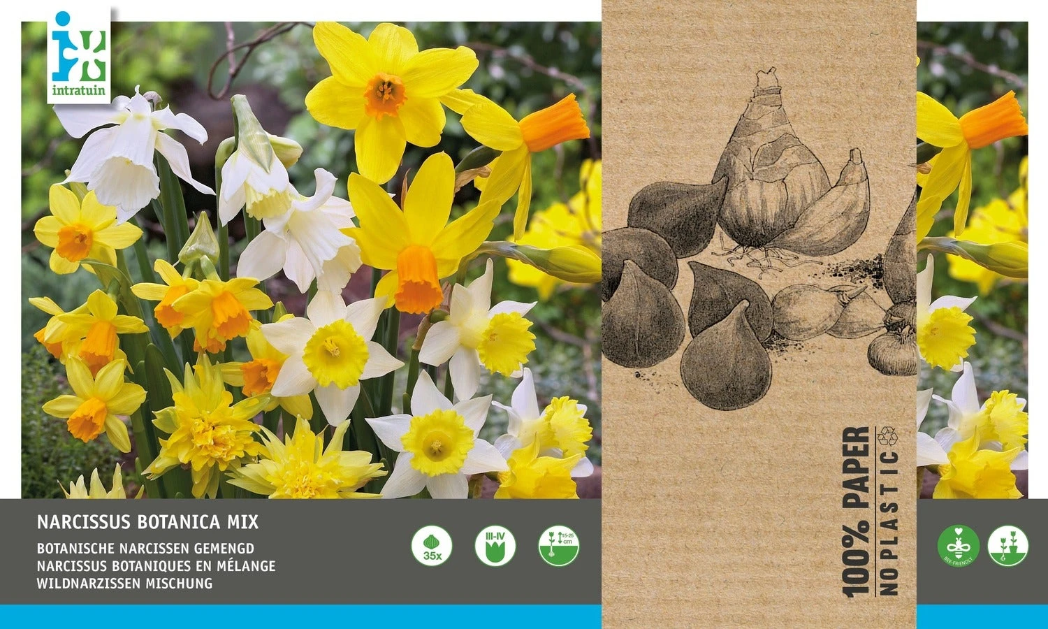 Intratuin Bloembollen Botanische Narcis (Narcissus) Wit, Geel 35 Stuks 3 Intratuin Bloembollen Botanische Narcis (Narcissus) Wit, Geel 35 Stuks