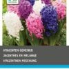 Intratuin Bloembollen Hyacint (Hyacinthus 'Delight') Gemengd 12 Stuks