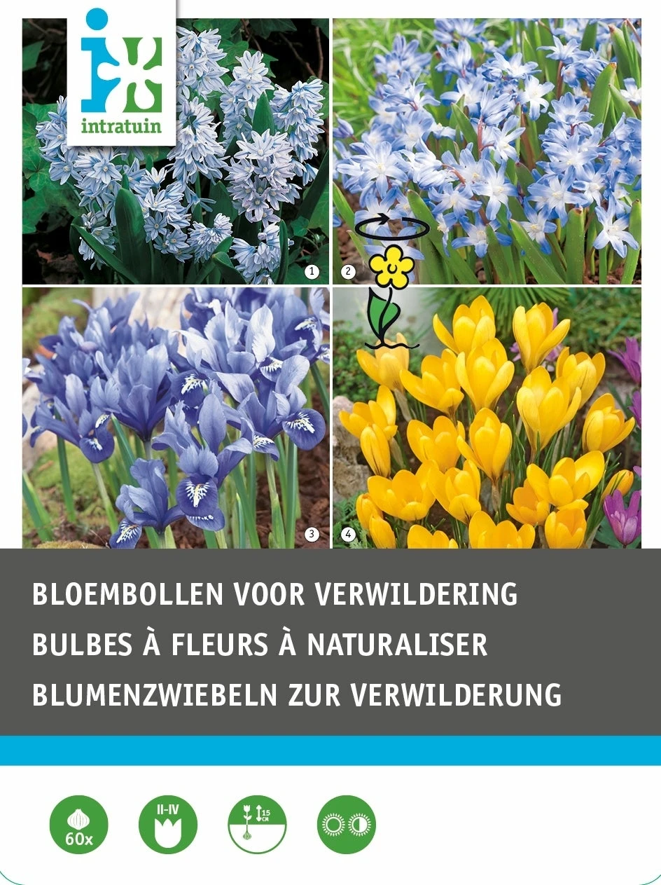 Intratuin Bloembollen (voor Verwildering) Gemengd 60 Stuks 3 Intratuin Bloembollen (voor Verwildering) Gemengd 60 Stuks
