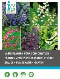 Intratuin Vaste Plant Schaduwtuin Gemengd 10 Stuks 3 Intratuin Vaste Plant Schaduwtuin Gemengd 10 Stuks