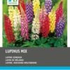Intratuin Lupine (Lupinus) Mix 10 Stuks 1 Intratuin Lupine (Lupinus) Mix 10 Stuks -Tuin Planten Winkel 8717263345046