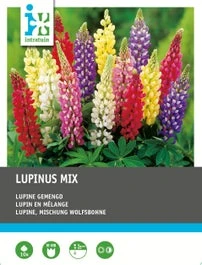 Intratuin Lupine (Lupinus) Mix 10 Stuks