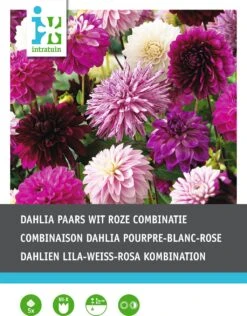 Tuin Planten Winkel -Tuin Planten Winkel 8717263345077 1 1