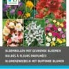 Intratuin Bloembollen Geurend 58 Stuks -Tuin Planten Winkel 8717263345138 1