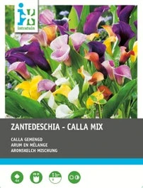 Intratuin Calla Knol (Zantedeschia) Mix 4 Stuks