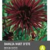 Intratuin Dahlia Knol (Dahlia Cactus 'Nuit D'ete') -Tuin Planten Winkel 8717263345558 1