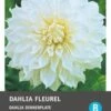 Intratuin Dahlia Knol (Dahlia 'Fleurel') 2 Intratuin Dahlia Knol (Dahlia 'Fleurel') -Tuin Planten Winkel 8717263345701 1