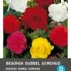 Intratuin Begonia Knol (Begonia Grandiflora) Gemengd 3 Stuks 1 Intratuin Begonia Knol (Begonia Grandiflora) Gemengd 3 Stuks -Tuin Planten Winkel 8717263345787 1