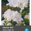 Intratuin Bloembollen Freesia Dubbel (Freesia) 25 Stuks