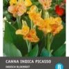 Intratuin Indisch Bloemriet Knol (Canna Indica 'Lucifer Picasso') 2 Stuks 1 Intratuin Indisch Bloemriet Knol (Canna Indica 'Lucifer Picasso') 2 Stuks -Tuin Planten Winkel 8717263346104 1 1