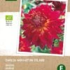 Intratuin Biologische Dahlia Knol (Dahlia 'Manhattan Island') 1 Intratuin Biologische Dahlia Knol (Dahlia 'Manhattan Island') -Tuin Planten Winkel 8717263346500 1 1
