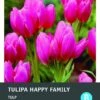 Intratuin Bloembollen Tulp (Tulipa 'Happy Family') 10 Stuks 2 Intratuin Bloembollen Tulp (Tulipa 'Happy Family') 10 Stuks -Tuin Planten Winkel 8717263347019